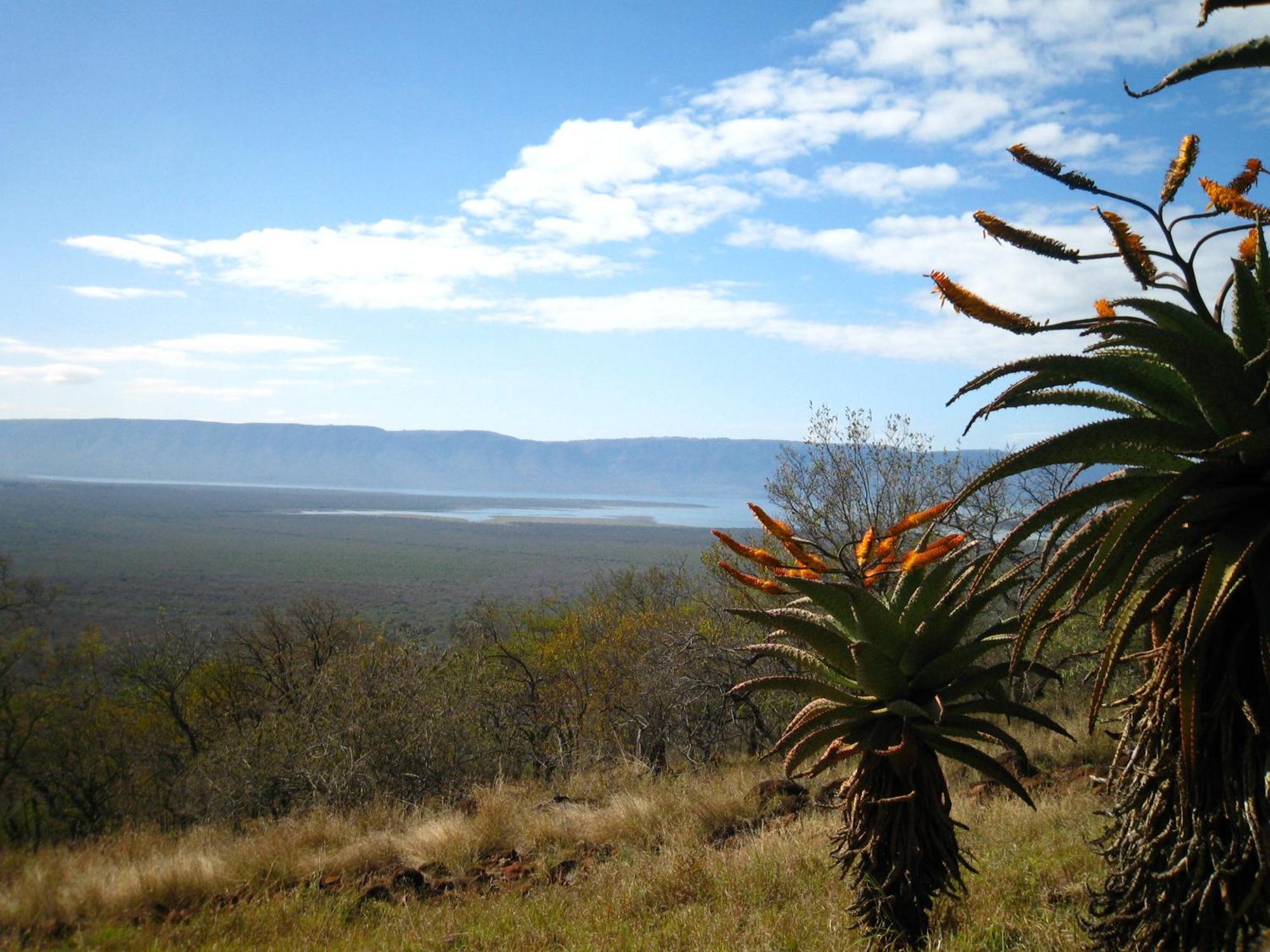Shayamoya Tiger Fishing And Game Lodge Pongola Dış mekan fotoğraf